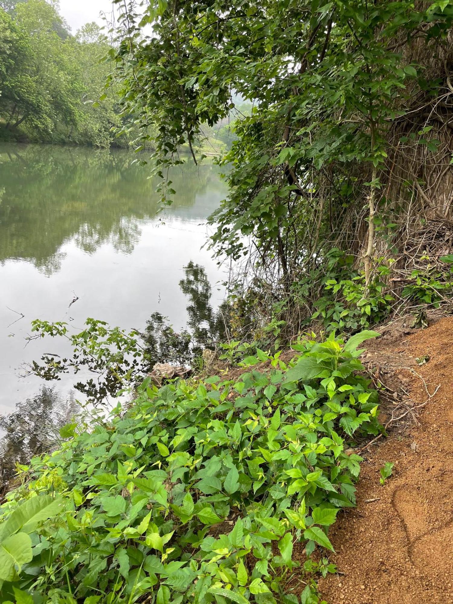 Pet Friendly Tiny House Rental With New Access To Guadalupe River Nbtx New Braunfels Ngoại thất bức ảnh