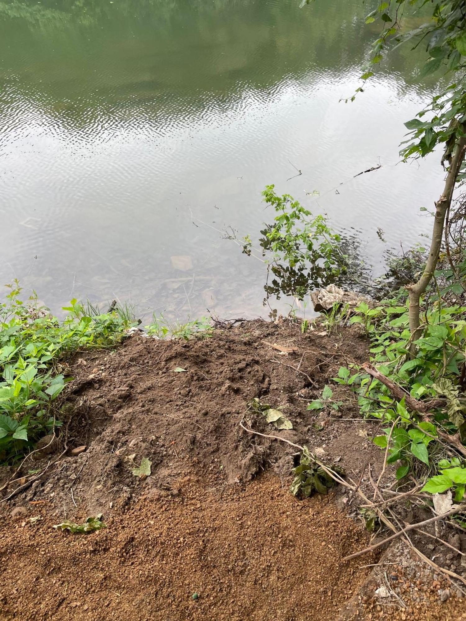 Pet Friendly Tiny House Rental With New Access To Guadalupe River Nbtx New Braunfels Ngoại thất bức ảnh