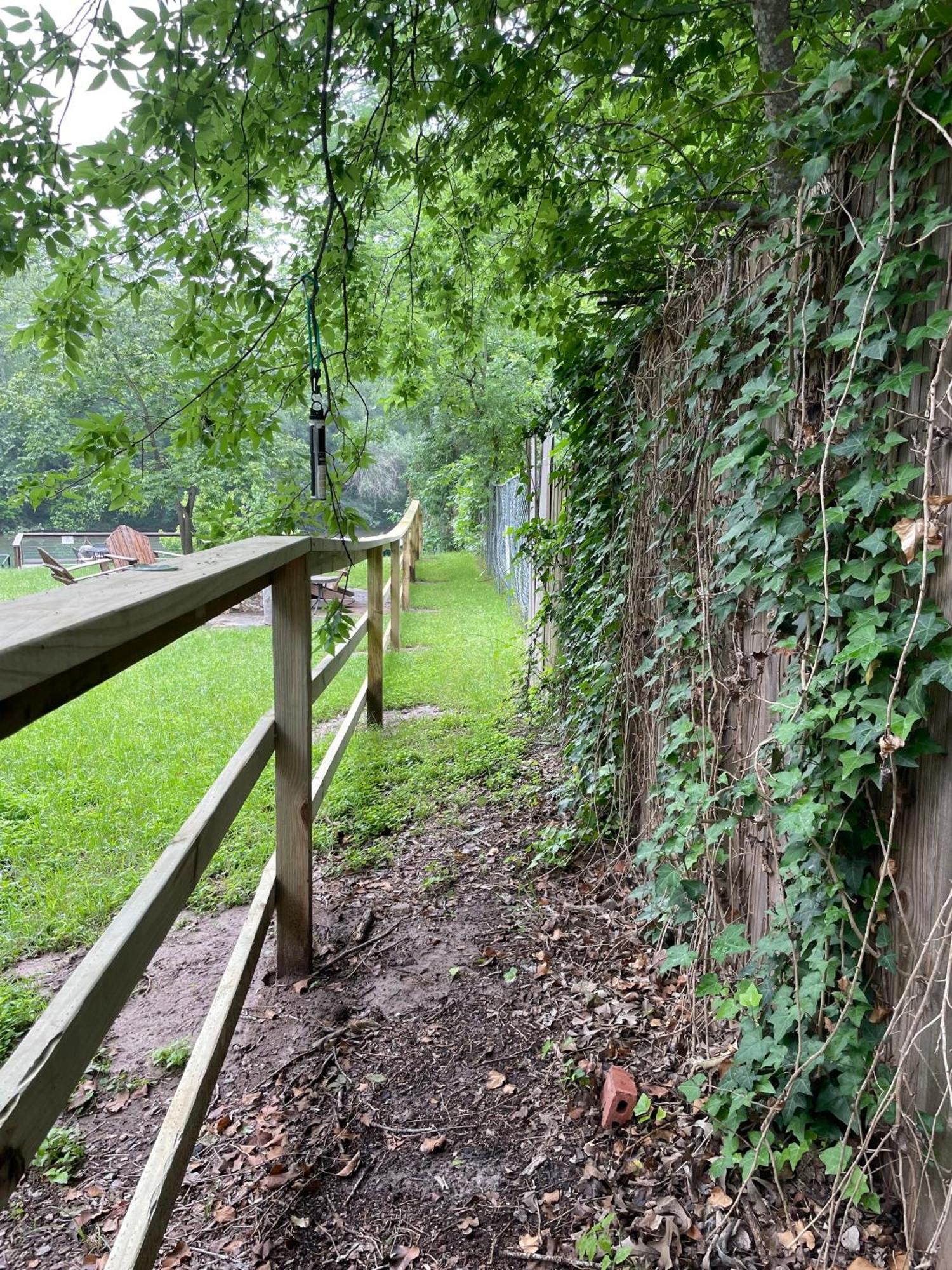 Pet Friendly Tiny House Rental With New Access To Guadalupe River Nbtx New Braunfels Ngoại thất bức ảnh