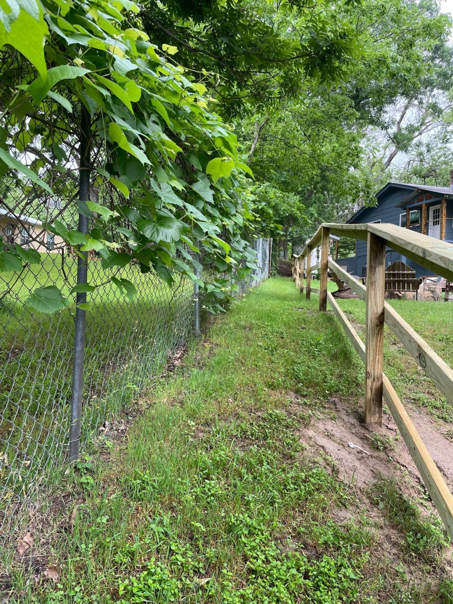 Pet Friendly Tiny House Rental With New Access To Guadalupe River Nbtx New Braunfels Ngoại thất bức ảnh